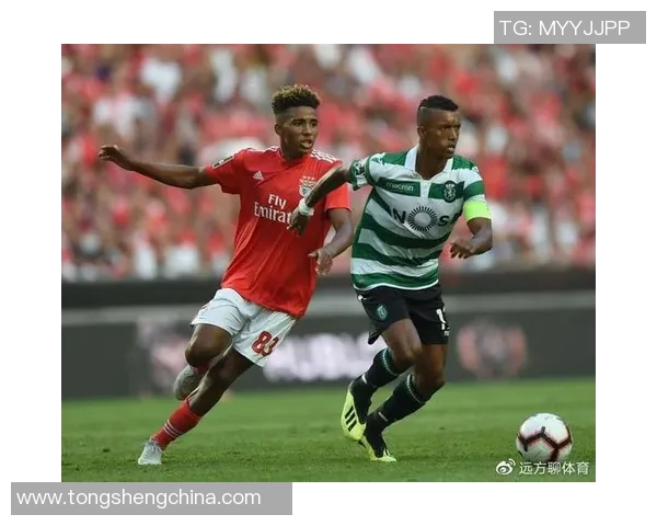 女性足球传奇人物全解析她们的名字与成就汇总