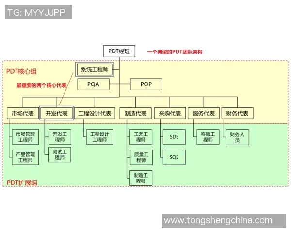 体育主管部门的职能与职责解析及其在体育发展中的重要性探讨