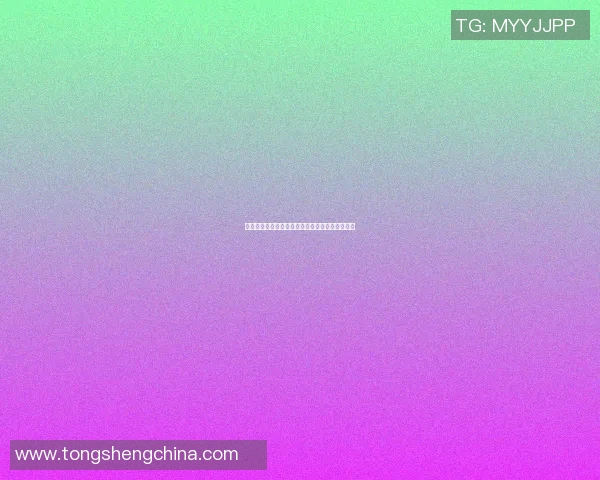 篮球传奇汇聚所有系列明星球员的辉煌与荣耀之路