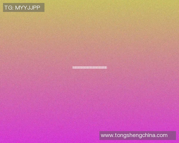 篮球明星们的辉煌时刻与冠军荣耀背后的故事与传奇